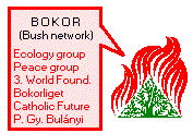 Main topics of the 50-year-old Hungarian Bokor network of communities